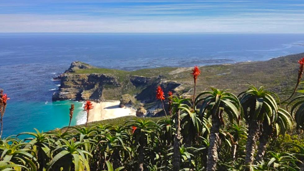 Cape Peninsula Tour African Blue Tours