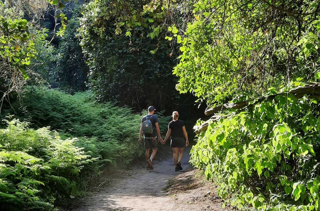 7 of our best Garden Route Adventures